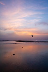 sunset-over-eleuthera-9983.jpg