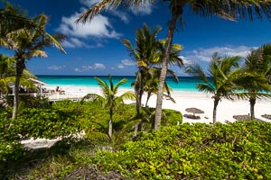 Coral Sands Beachfront Harbour Island