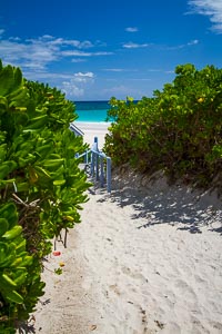 Pink Sands Resort Beach Path