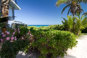 Pink Sands Landscaping