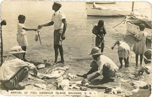 Arrival of Fish