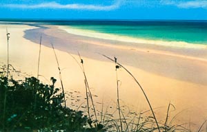 Vintage postcard of Harbour Island's pink sand beach, photo by Barbara Young