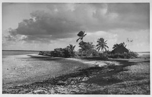 Vintage beach postcard sold as Harbour Island, exact location unconfirmed