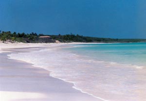 High tide on Harbour Island's beach, photography by Jacqueline Nolte Jones
