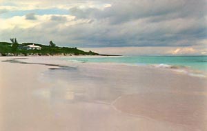 The Pink Sands Beach