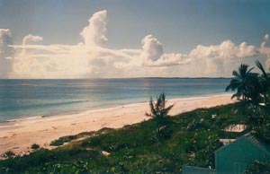 World Famous Pink Sand Beach