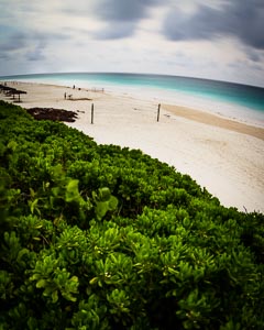 Pink Sand Beach Harbour Island Bahamas Photos | Pink Sands Beach Gallery