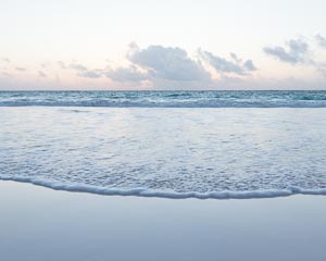 Pink Sand Beach Harbour Island Bahamas Photos | Pink Sands Beach Gallery