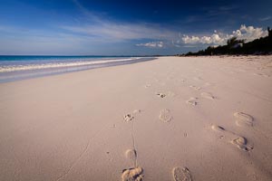 Pink Sand Beach Harbour Island Bahamas Photos | Pink Sands Beach Gallery